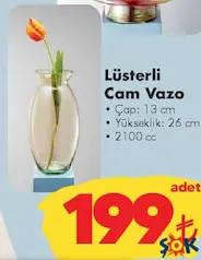 LÜSTERLİ CAM VAZO